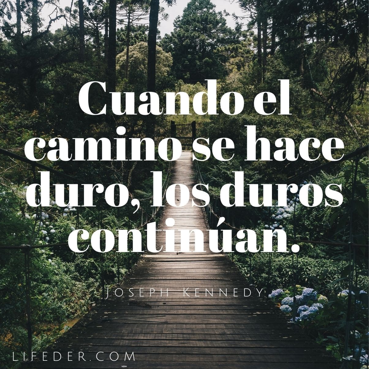 Introducir 76+ imagen frases el camino es largo - Thcshoanghoatham ...