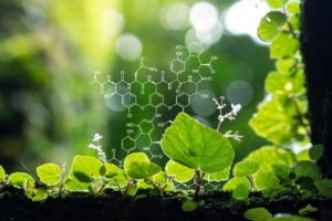 Compuestos orgánicos