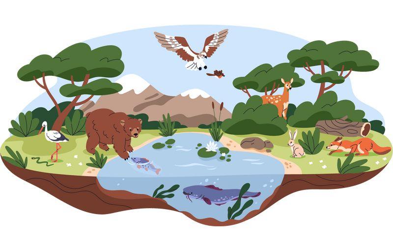 Subtema 3 mbito de las ciencias - Caracteristicas De Los Seres Vivos 