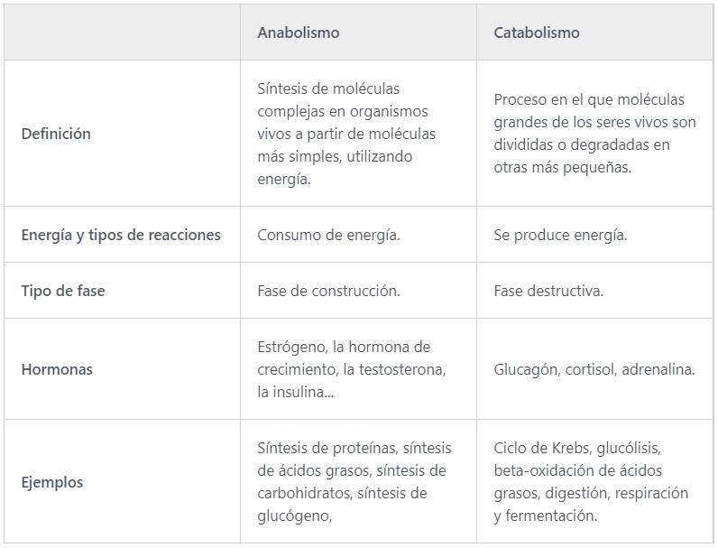 Diferencias entre anabolismo y catabolismo (cuadro comparativo)