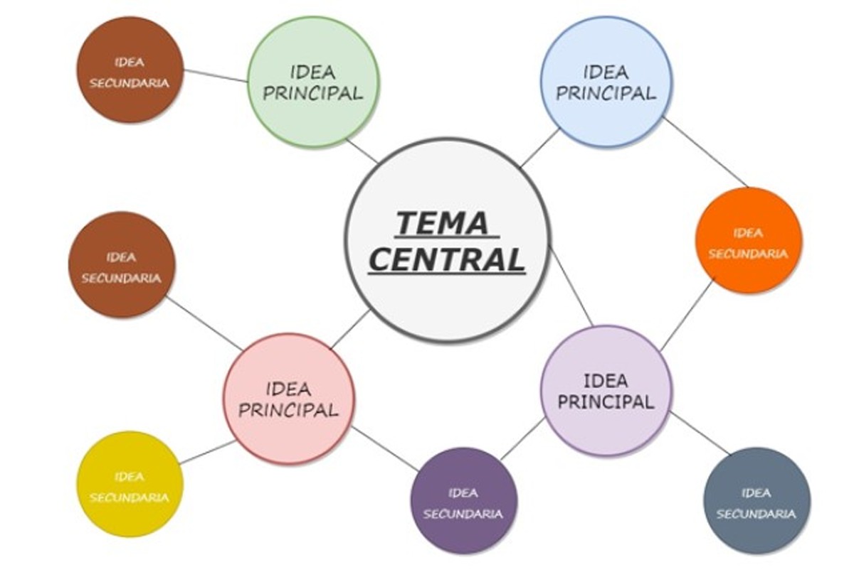 ¿Cómo se organiza la información? ¿Cómo se organiza la información?