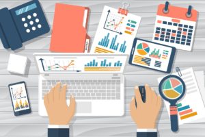 ¿Cómo se organiza la información?