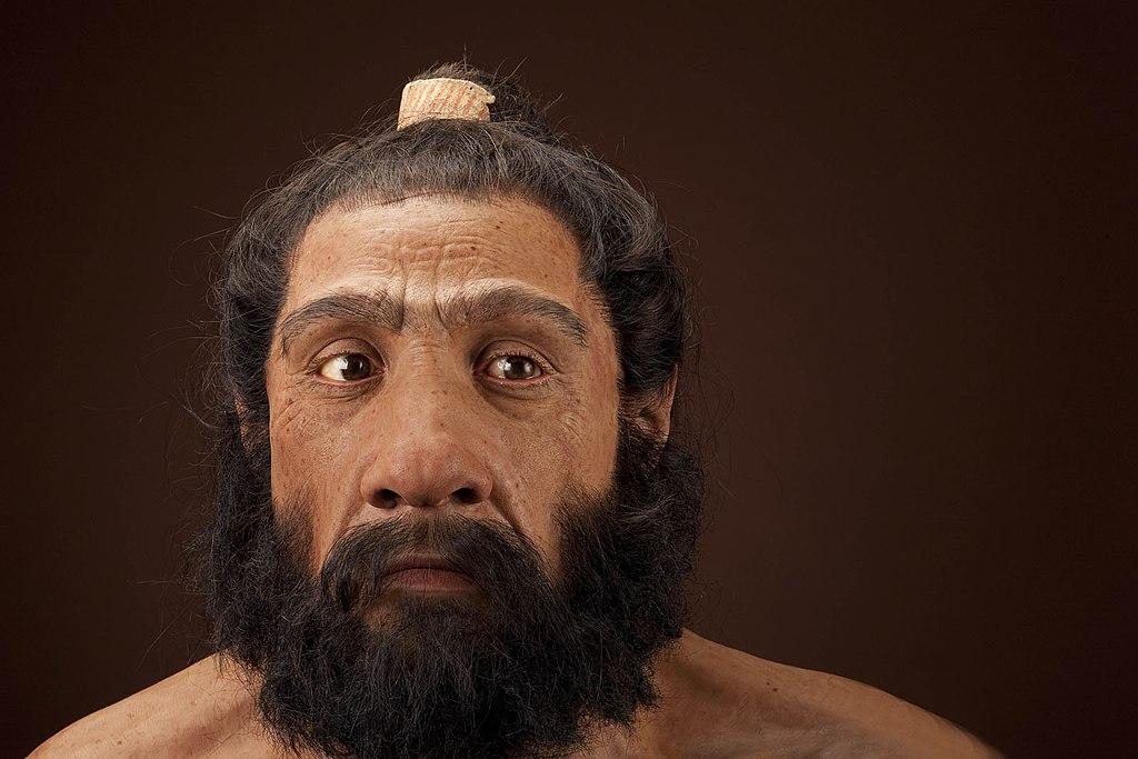 homo neanderthalensis qué es origen características alimentación