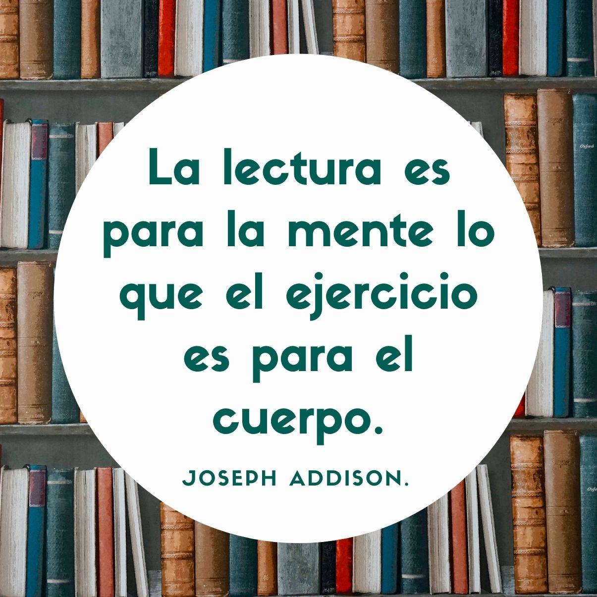 115 frases de lectura para inspirarse, reflexionar y dedicar