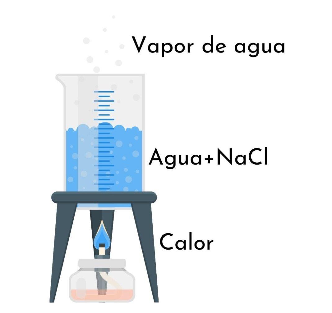 evaporaci-n-qu-es-proceso-m-todo-de-separaci-n-ejemplos