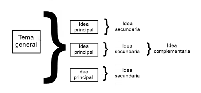 Las ideas principales están conectadas directamente con la idea central