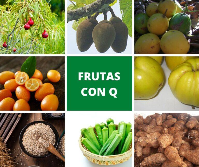 Lista de frutas que empiezan con Q