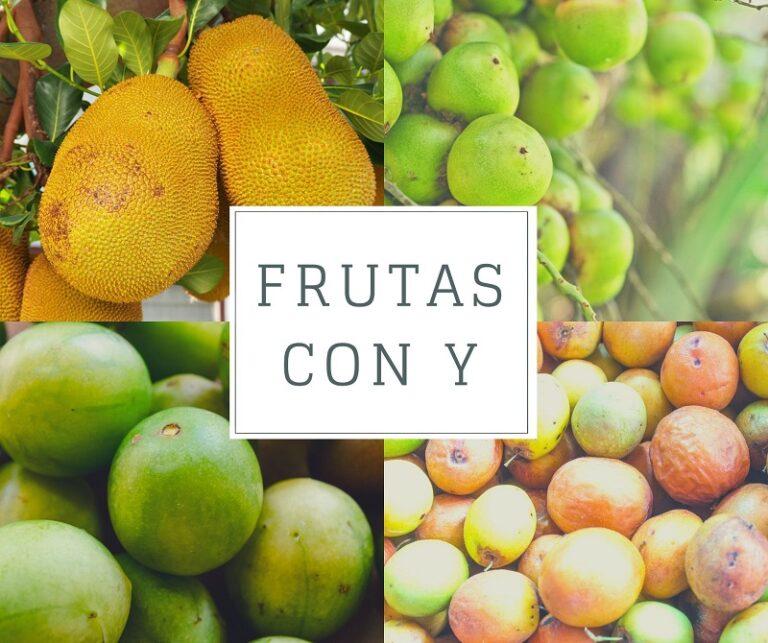 Lista de frutas con la letra Y