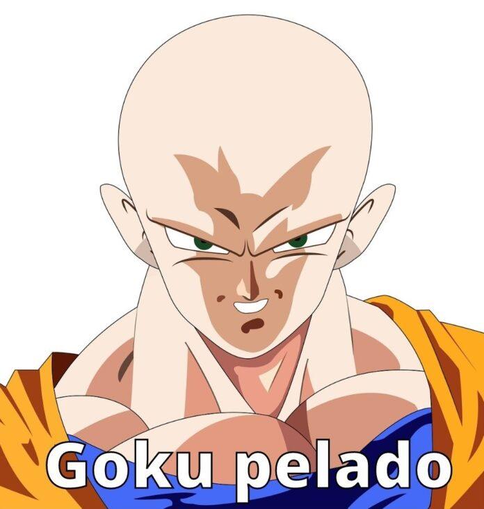 Goku pelado / meme qué es,