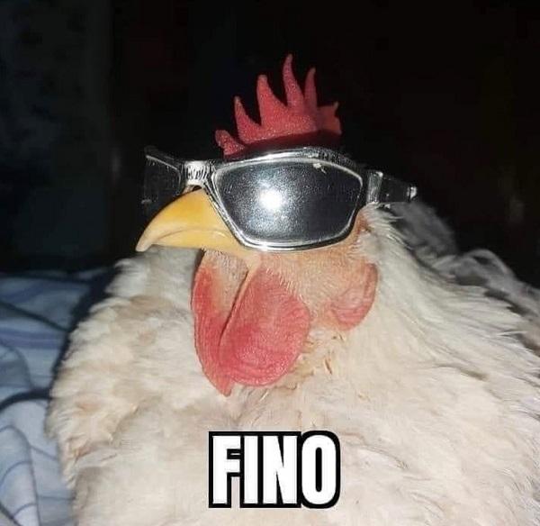 Significado completo do meme “fino señores”