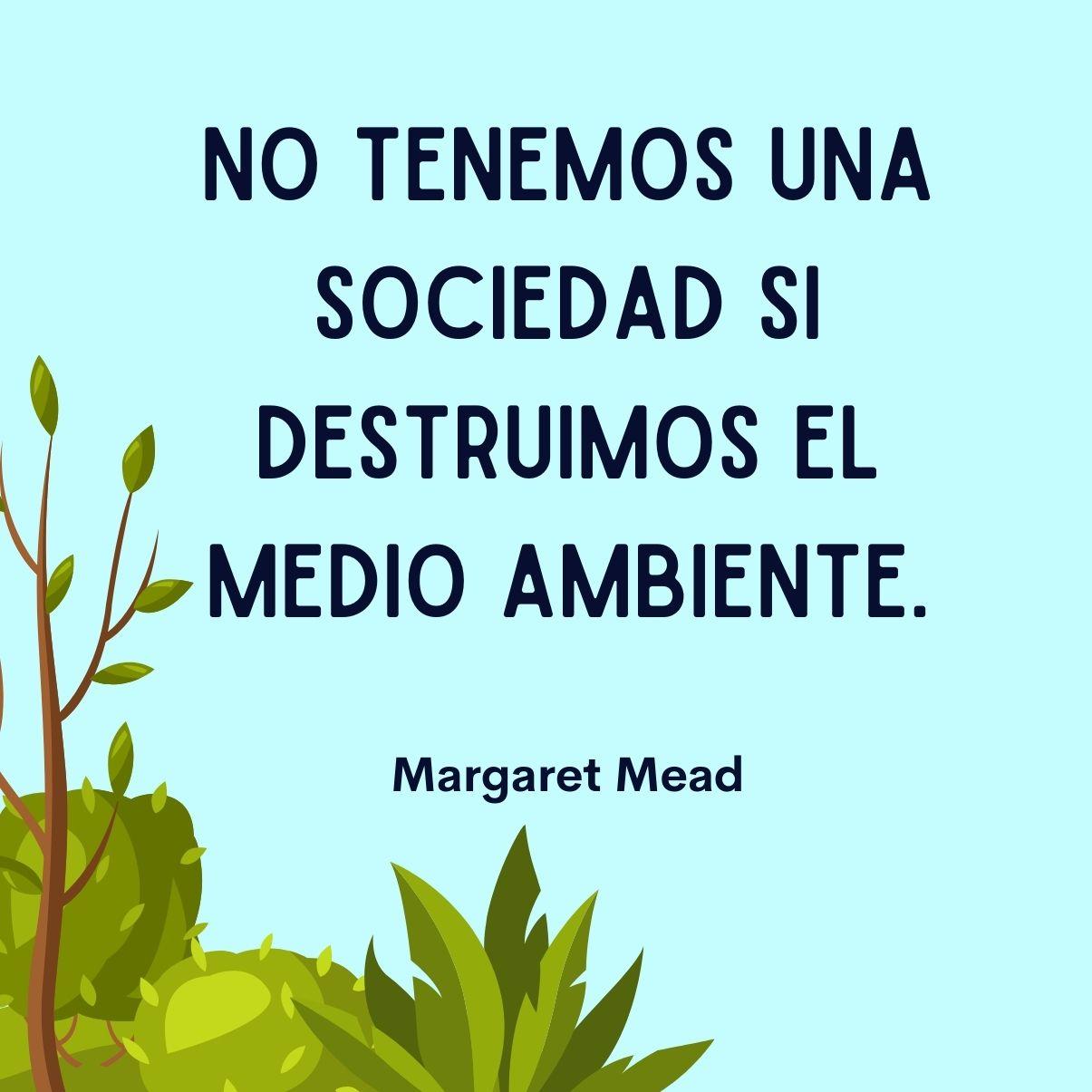 Las Mejores Citas Sobre El Medio Ambiente