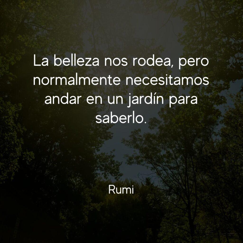 +100 frases de Rumi sobre la vida, el amor, la muerte y la amistad