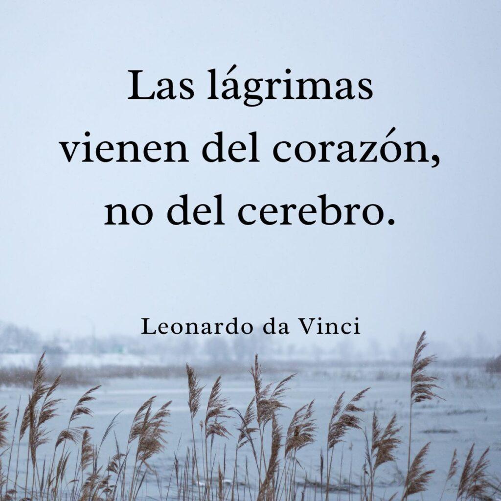 100+ frases de tristeza