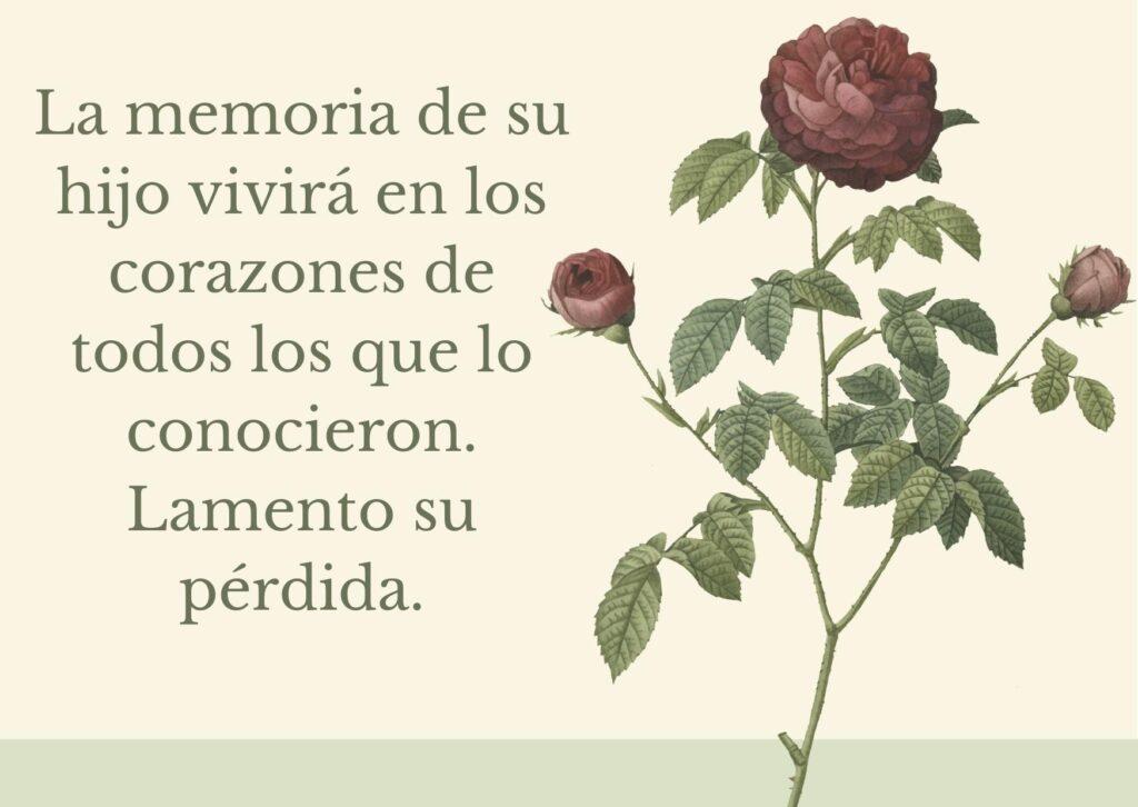 100+ frases de condolencias por una perdida (cortas)