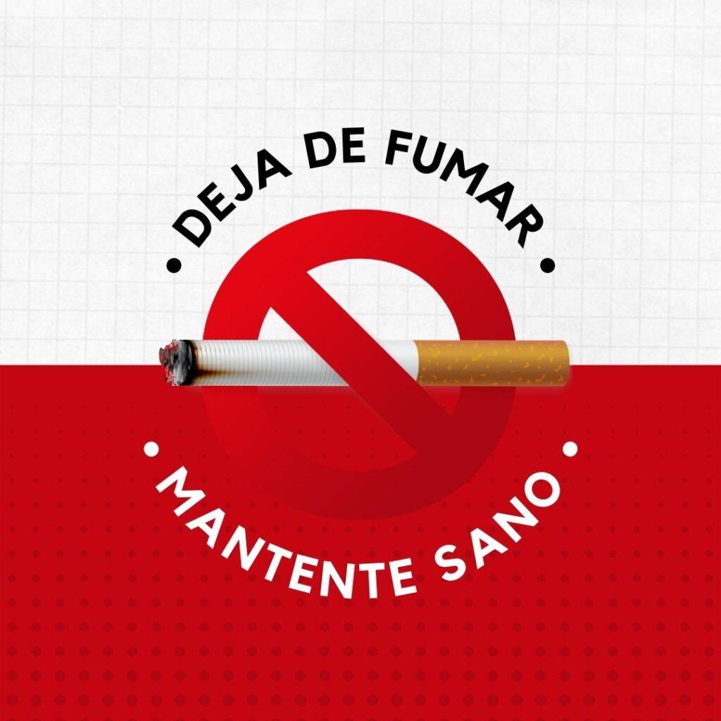 Guía completa sobre consumo de cannabis responsable | Bloommart – Bloommart  Colombia, image size:1024x1024