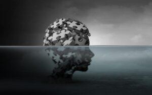 Procesos psicológicos superiores