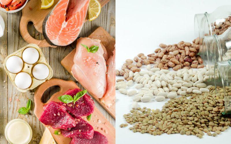 Leguminosas y alimentos de origen animal Leguminosas y alimentos de origen animal