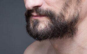 Tipos de barba