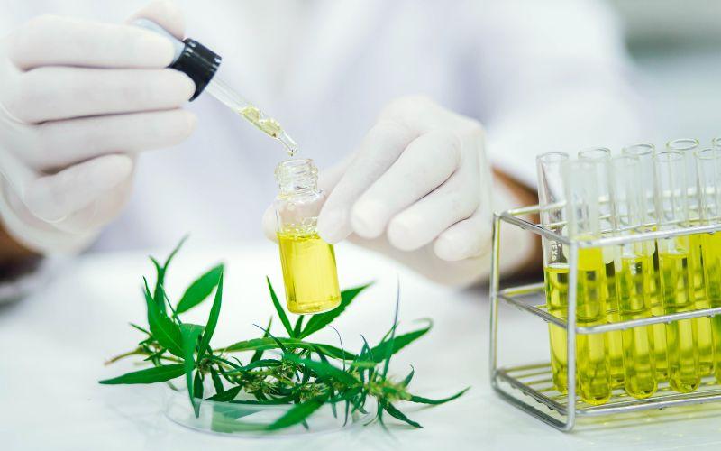 9 aportaciones de la química a la medicina 9 aportaciones de la química a la medicina