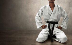 Aportaciones de Japón a la humanidad