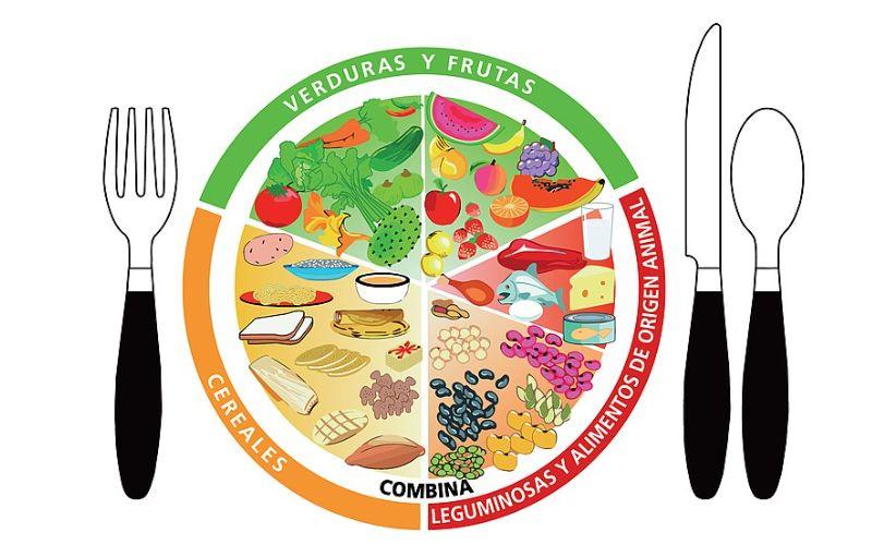 Plato del buen comer y jarra del buen beber: qué son, recomendaciones Plato del buen comer y jarra del buen beber: qué son, recomendaciones