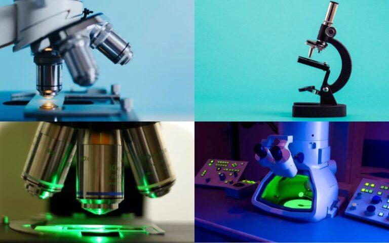 Tipos de microscopios: qué son, características y funciones
